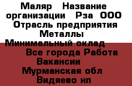 Маляр › Название организации ­ Рза, ООО › Отрасль предприятия ­ Металлы › Минимальный оклад ­ 40 000 - Все города Работа » Вакансии   . Мурманская обл.,Видяево нп